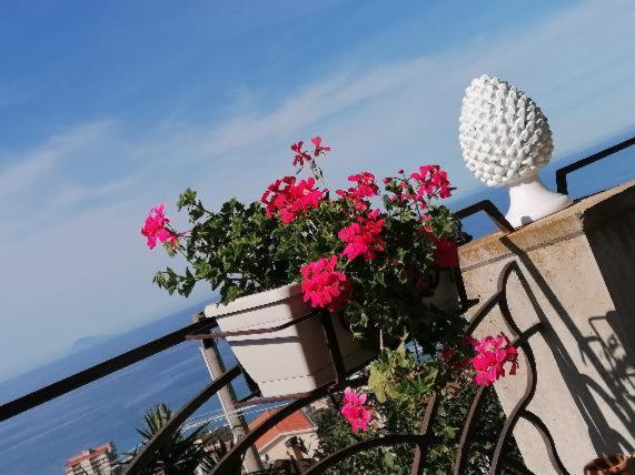 Nnakkara Guest House Santo Stefano di Camastra Exterior photo
